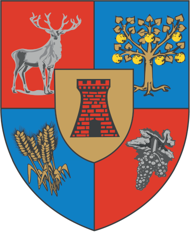 Satu Mare