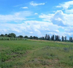 Фото 5. Участок, продажа. Глубокое