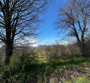 Photo 2. Lot, for sale. Tiachiv
