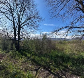 Photo 4. Lot, for sale. Tiachiv