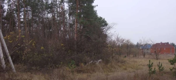Photo 4. Lot, for sale. Makariv
