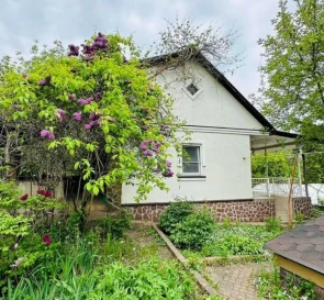Photo 2. House, for sale. Velyki Dmytrovychi