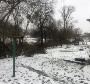 Фото 2. Будинок, продаж. Миронівка