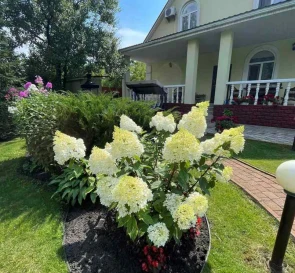 Photo 4. House, for sale. Vyshenky