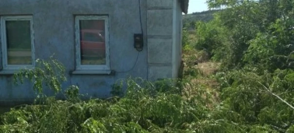 Фото 3. Будинок, продаж. Курісове