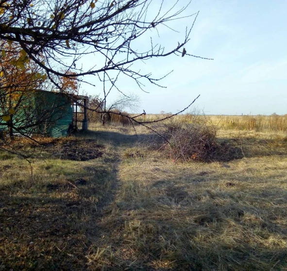 Фото 2. Ділянка, продаж. Хмельовик