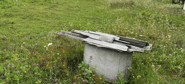 Фото 4. Будинок, продаж. Гузіїв