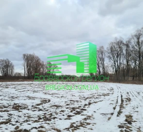 Фото 5. Ділянка, продаж. Требухів