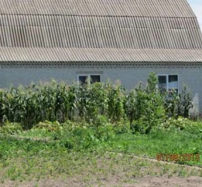 Fotografie 4. Casă, de vânzare. Brovary