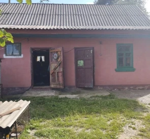 Photo 2. House, for sale. Dolyna