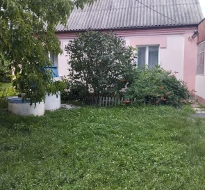 Photo 3. House, for sale. Dolyna