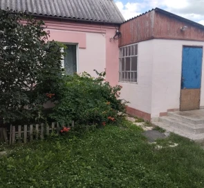 Photo 5. House, for sale. Dolyna