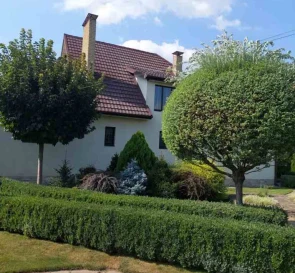 Photo 2. House, for sale. Velyka Dymerka