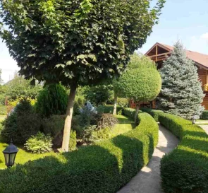 Photo 4. House, for sale. Velyka Dymerka