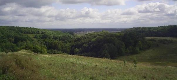 Photo 3. Lot, for sale. Pidhirtsi
