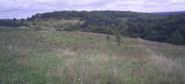 Photo 4. Lot, for sale. Pidhirtsi