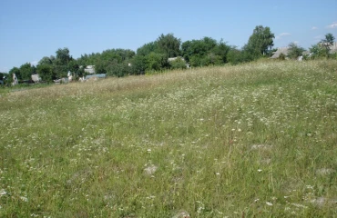 Zdjęcie Działka, na sprzedaż. Vilne