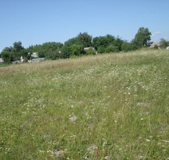 Photo 1. Lot, for sale. Vilne