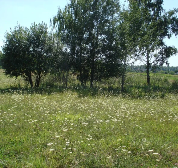 Photo 2. Lot, for sale. Vilne