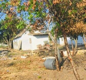 Photo 2. Lot, for sale. Shemetove