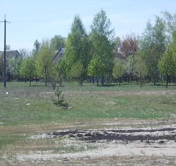 Фото 2. Участок, продажа. Бровары