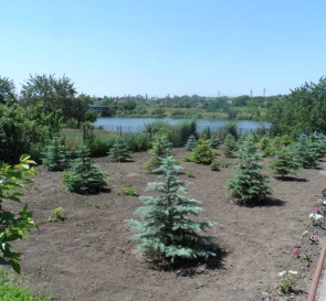 Фото 3. Будинок, продаж. Лозуватка