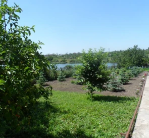 Фото 4. Будинок, продаж. Лозуватка