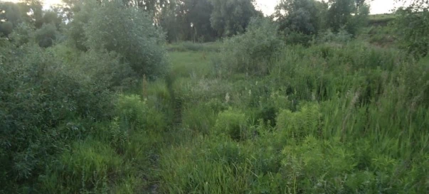 Фото 4. Ділянка, продаж. Глеваха