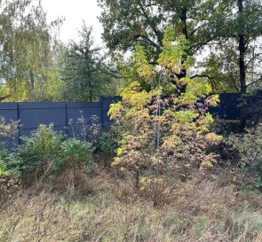 Photo 3. Lot, for sale. Mykhailivka-Rubezhivka