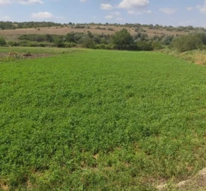 Фото 2. Дом, продажа. Гудевичево