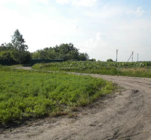 Фото 3. Ділянка, продаж. Великі Пріцьки