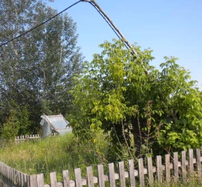 Фото 5. Ділянка, продаж. Великі Пріцьки
