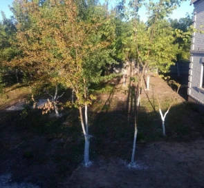 Photo 4. Lot, for sale. Kniazhychi