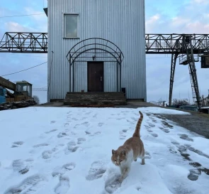 Photo 2. Lot, for sale. Vinnytsia