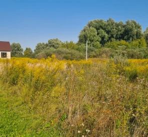 Photo 2. Lot, for sale. Brovary