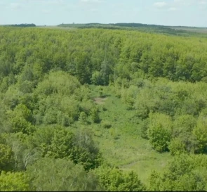 Фото 3. Участок, продажа. Чорный Лес