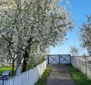 Фото 4. Будинок, продаж. Попільня