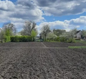 Фото 5. Будинок, продаж. Попільня
