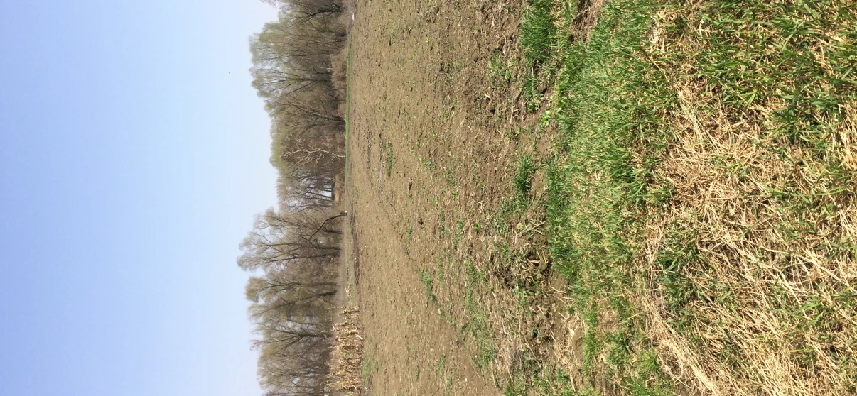Photo Lot, for sale. Brovary