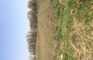 Photo Lot, for sale. Brovary