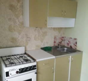 Photo 5. One-Room flat, to rent. Kyiv