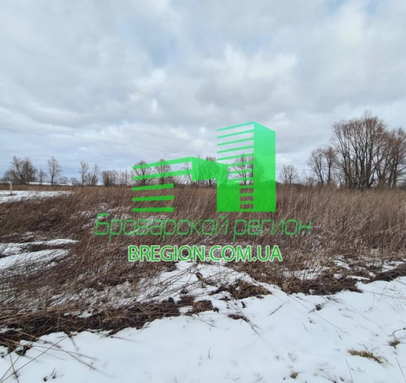 Фото 1. Участок, продажа. Требухов