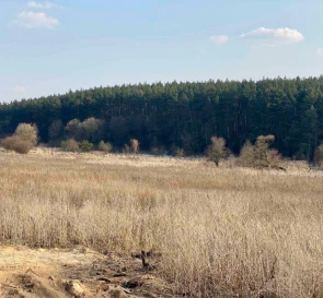 Фото 3. Участок, продажа. Яворов