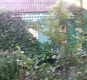 Фото 5. Будинок, продаж. Чугуїв