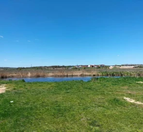 Фото 5. Ділянка, продаж. Білогородка