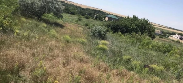 Фото 4. Ділянка, продаж. Великий Дальник