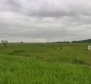 Фото 2. Ділянка, продаж. Білогородка