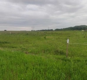 Фото 3. Ділянка, продаж. Білогородка