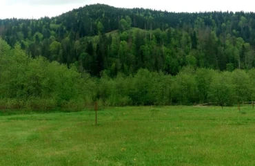 Фото Ділянка, продаж. Микуличин