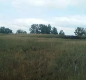 Фото 3. Ділянка, продаж. Нижча Дубечня